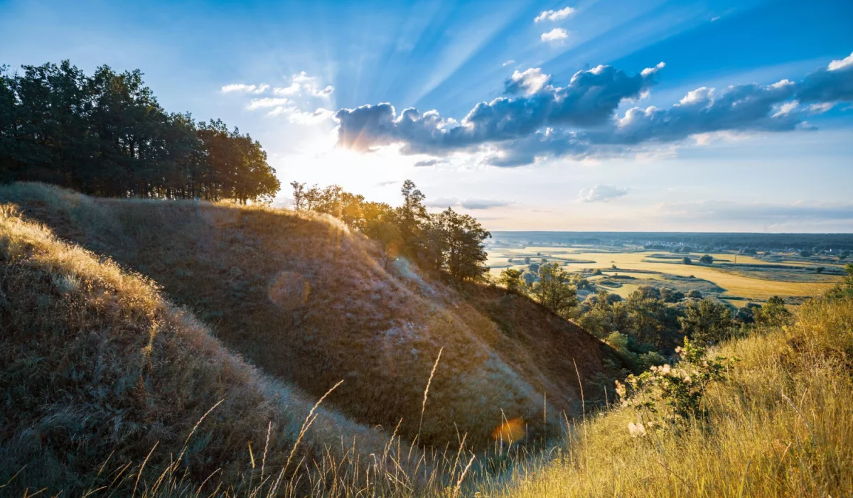 Jak można w 2023  wyposażyć dom?